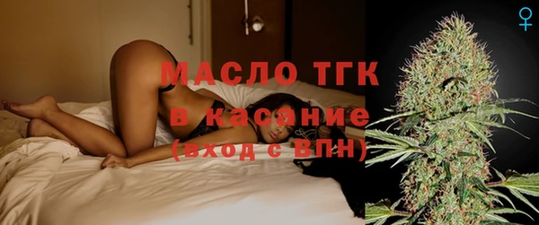 ECSTASY Бородино