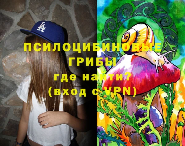 spice Волосово