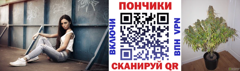 купить  сайты  Елизово  Бошки Шишки THC 21% 